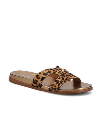 The Sunbird Icon - Leopardprint Haircalf